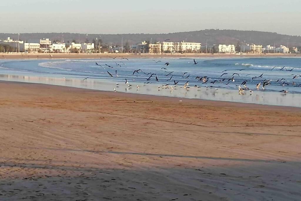 Darsal-Bwindi, Pour Tomber Amoureux D'Essaouira ! Villa Eksteriør billede