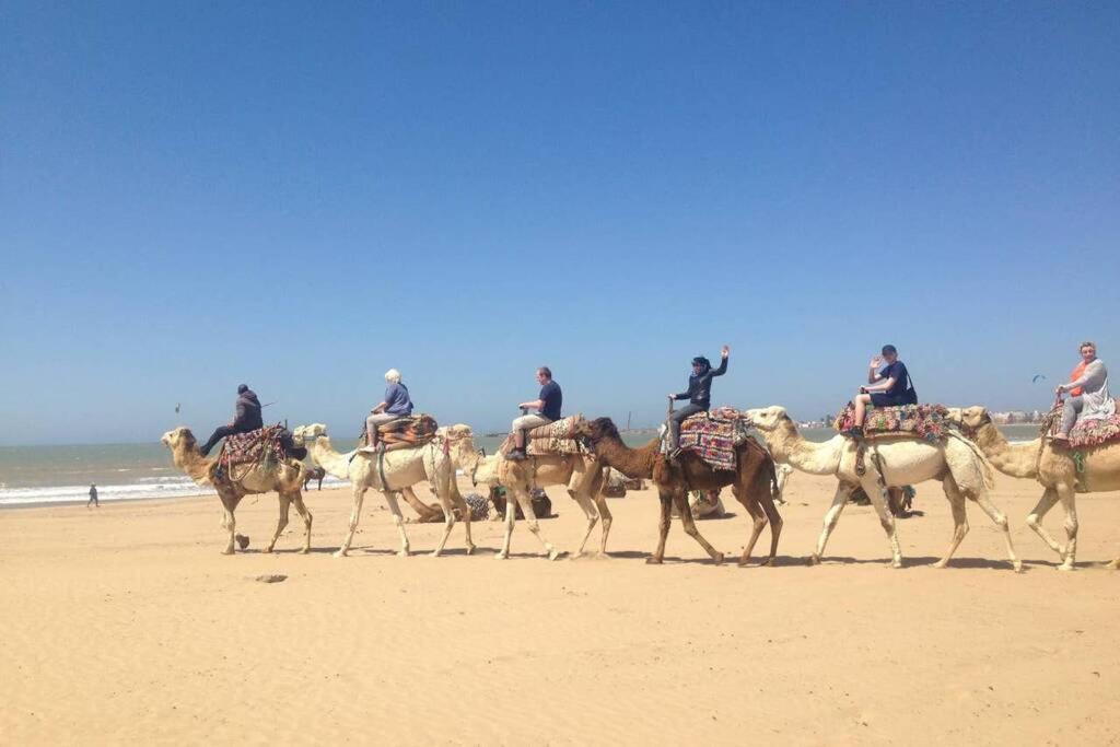 Darsal-Bwindi, Pour Tomber Amoureux D'Essaouira ! Villa Eksteriør billede